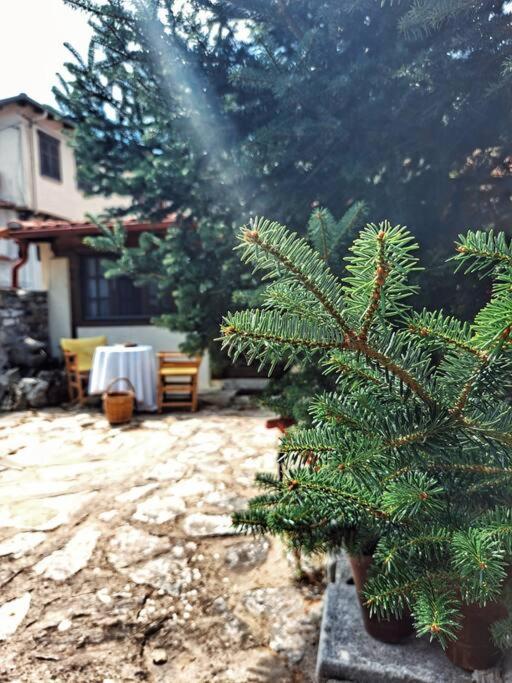 Panthea Cottage Ставруполис Екстериор снимка